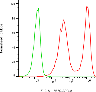 Rabbit-anti REG1B monoclonal antibody