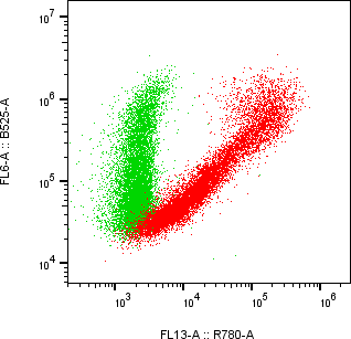 Rabbit-anti KIR2DL3 monoclonal antibody