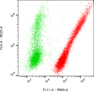 Rabbit-anti EMB monoclonal antibody
