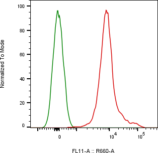 Rabbit-anti CD81 monoclonal antibody