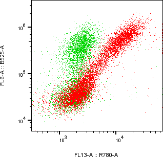 Rabbit-anti IL17-F monoclonal antibody