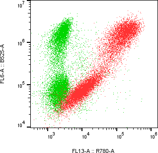 Rabbit-anti IL13 monoclonal antibody