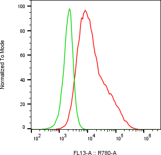 Rabbit-anti KITLG monoclonal antibody