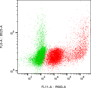 Rabbit-anti TSPAN8 monoclonal antibody