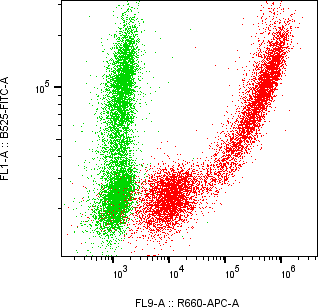 Rabbit-anti SFTPD monoclonal antibody