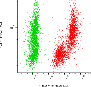 Rabbit-anti CCL16 monoclonal antibody