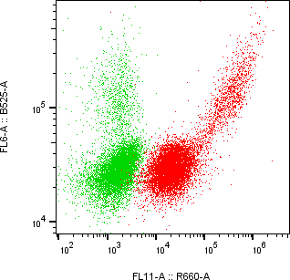 Rabbit-anti SERPINF2 monoclonal antibody