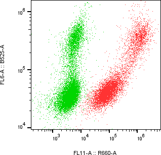 Rabbit-anti PEBP4 monoclonal antibody
