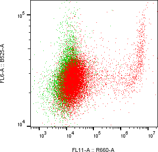 Rabbit-anti CTRL monoclonal antibody