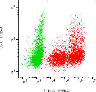 Rabbit-anti SPINK6 monoclonal antibody