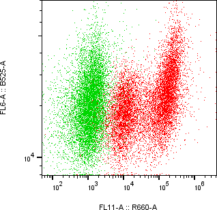 Rabbit-anti GDNF monoclonal antibody