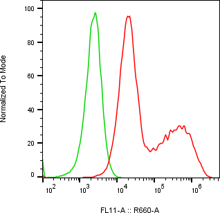 Rabbit-anti SPINK13 monoclonal antibody