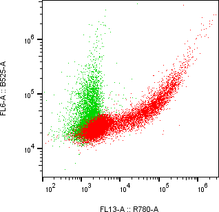 Rabbit-anti KIR2DL1 monoclonal antibody