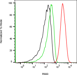 Rabbit-anti PNLIP monoclonal antibody