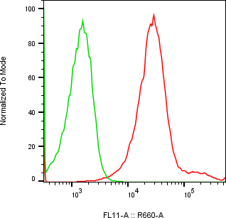 Rabbit-anti TIMD4 monoclonal antibody