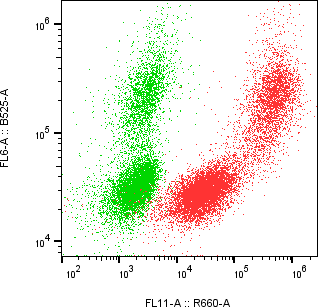 Rabbit-anti CGB3 monoclonal antibody