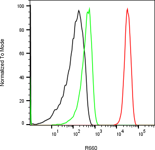 Rabbit-anti OSM monoclonal antibody