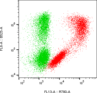 Rabbit-anti BST1 monoclonal antibody