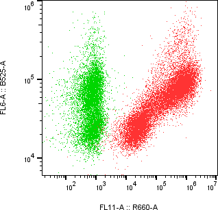 Rabbit-anti SPESP1 monoclonal antibody
