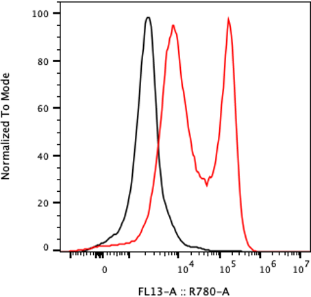 Rabbit-anti IL17-F monoclonal antibody