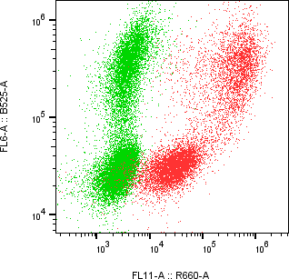 Rabbit-anti WFDC2 monoclonal antibody