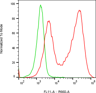 Rabbit-anti LCN12 monoclonal antibody