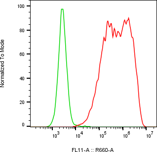 Rabbit-anti FLT3LG monoclonal antibody