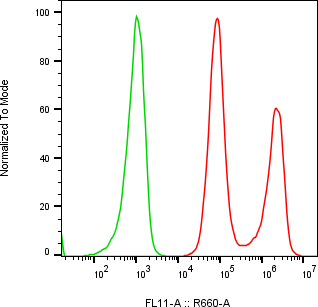 Rabbit-anti MPZ monoclonal antibody