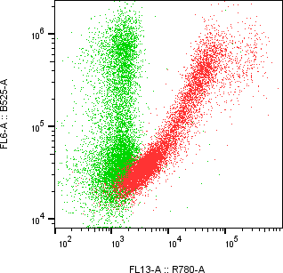 Rabbit-anti NRP1 monoclonal antibody