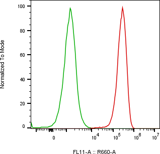 Rabbit-anti ALCAM monoclonal antibody