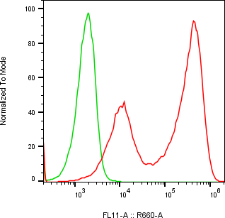 Rabbit-anti AGA monoclonal antibody