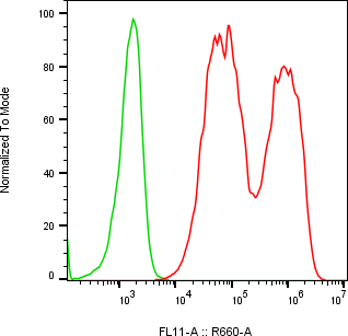 Rabbit-anti MMP3 monoclonal antibody