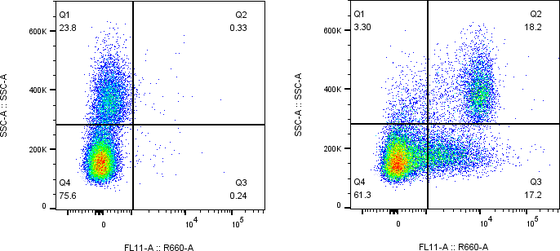 Rabbit-anti PD-1 monoclonal antibody