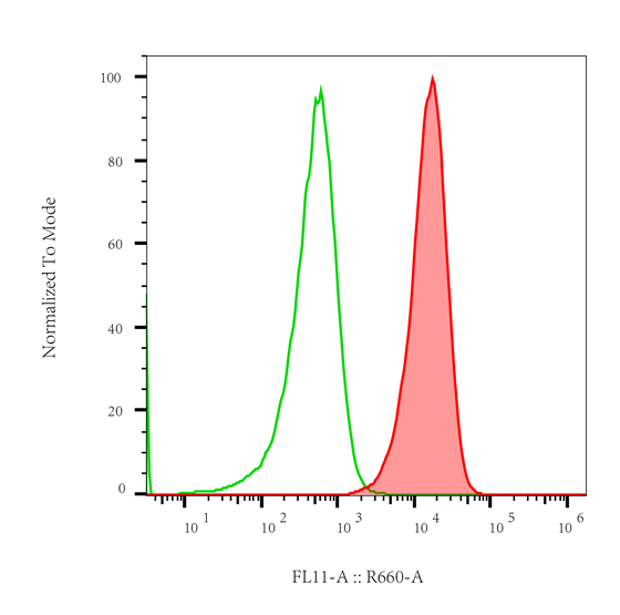 Rabbit-anti PVRL2 monoclonal antibody