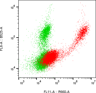 Rabbit-anti TFF2 monoclonal antibody
