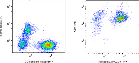 Rabbit-anti CD44 monoclonal antibody