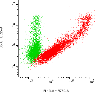 Rabbit-anti CTLA4 monoclonal antibody
