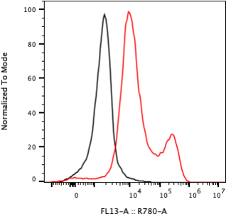 Rabbit-anti EFNB2 monoclonal antibody