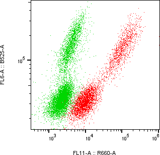 Rabbit-anti ALFA monoclonal antibody