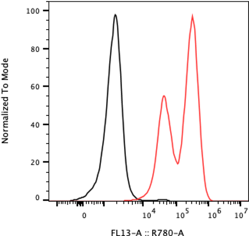 Rabbit-anti CXCL5 monoclonal antibody