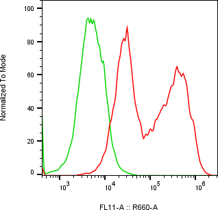 Rabbit-anti SLPI monoclonal antibody