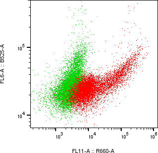 Rabbit-anti WIF1 monoclonal antibody