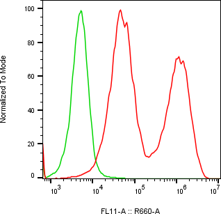 Rabbit-anti APOD monoclonal antibody