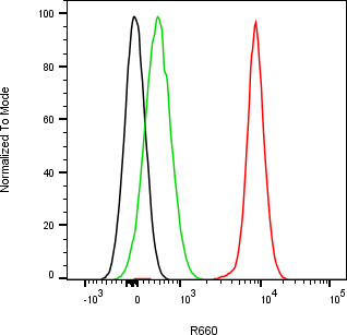 Rabbit-anti EPGN monoclonal antibody