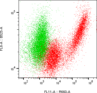 Rabbit-anti APOA4 monoclonal antibody