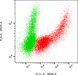 Rabbit-anti CGREF1 monoclonal antibody