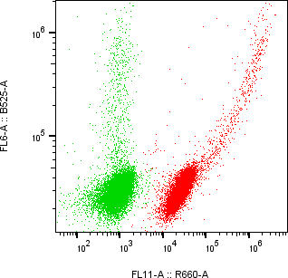 Rabbit-anti CCL16 monoclonal antibody