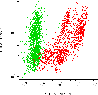 Rabbit-anti LYG2 monoclonal antibody