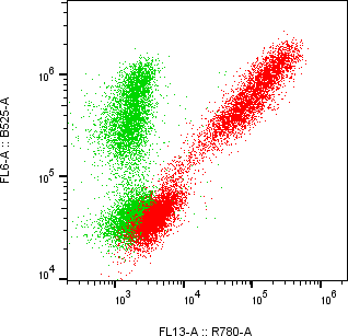 Rabbit-anti SERPINF1 monoclonal antibody