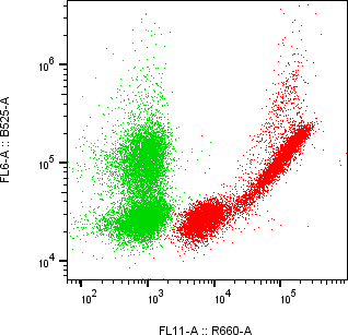 Rabbit-anti C6 monoclonal antibody